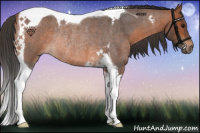 Horse Color:Bay Roan Tobiano Rabicano