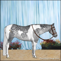 Horse Color:Silver Black Chinchilla Tobiano 