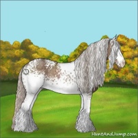 Horse Color:White Spotted Silver Black Rabicano 