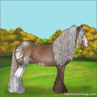 Horse Color:White Spotted Silver Black Rabicano 