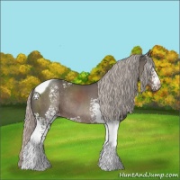 Horse Color:White Spotted Silver Black Tobiano Rabicano 
