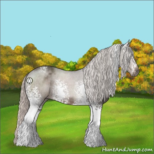 Horse Color:White Spotted Silver Black Sabino Rabicano