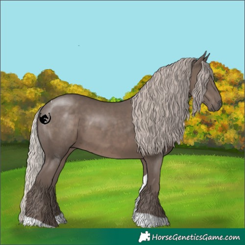 Horse Color:Silver Black Tobiano 