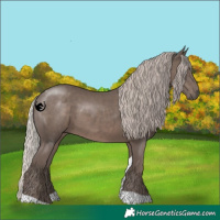 Horse Color:Silver Black Tobiano