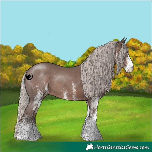 Horse Color:White Spotted Silver Black Rabicano 
