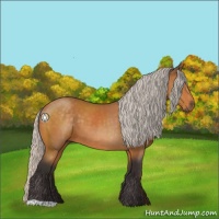 Horse Color:Silver Buckskin 