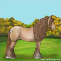 Horse Color:Brown Pearl Sabino 