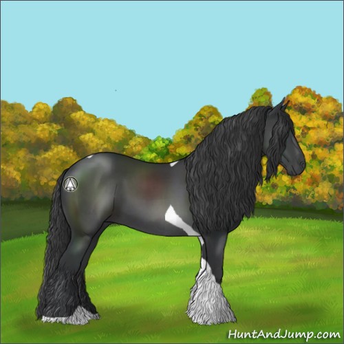 Horse Color:Black Tobiano Rabicano