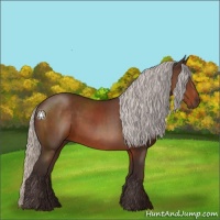 Horse Color:Silver Brown Sabino 