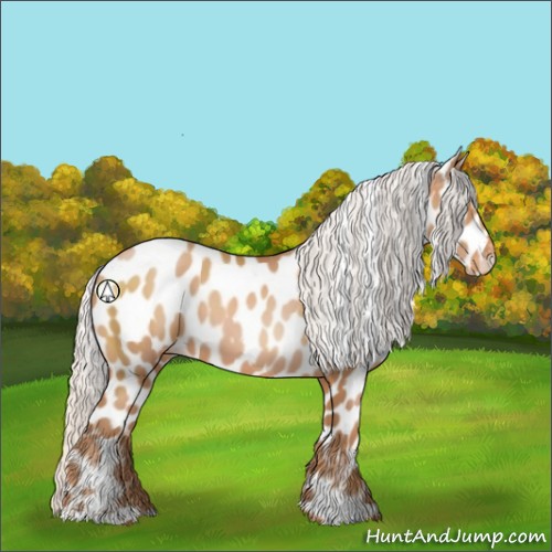 Horse Color:Silver Brown Pearl Sabino Appaloosa