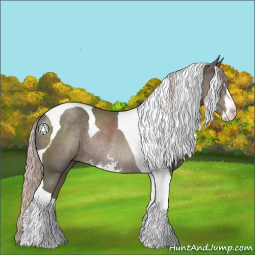 Horse Color:Silver Black Sabino Tobiano Rabicano