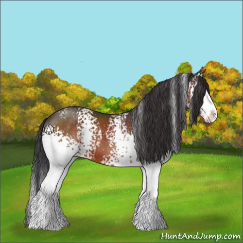 Horse Color:White Spotted Brown Splash