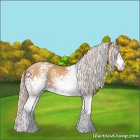 Horse Color:White Spotted Silver Classic Champagne