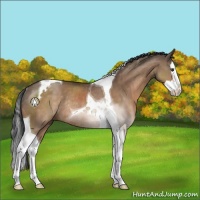 Horse Color:Brown Dun Splash Tobiano Rabicano 