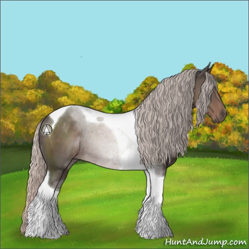 Horse Color:Silver Black Sabino Tobiano 