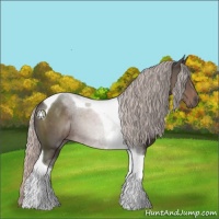 Horse Color:Silver Black Sabino Tobiano 