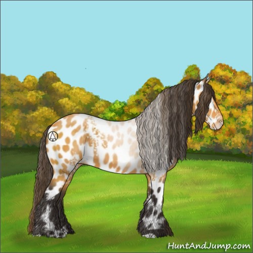 Horse Color:White Spotted Buckskin Leopard
