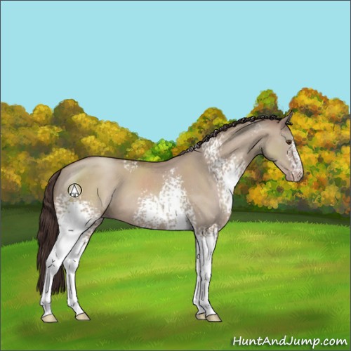 Horse Color:White Spotted Classic Champagne Dun Sabino 