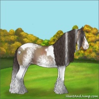 Horse Color:White Spotted Classic Champagne Splash Tobiano 