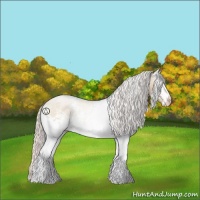 Horse Color:White Spotted Silver Classic Champagne Dun 
