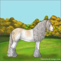 Horse Color:White Spotted Silver Classic Champagne Dun Sabino 