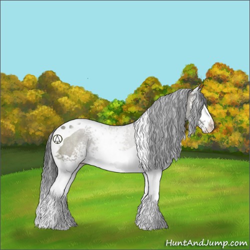 Horse Color:White Spotted Grullo Tobiano