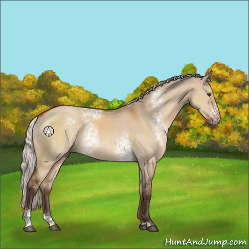 Horse Color:White Spotted Silver Bay Dun Sabino Rabicano