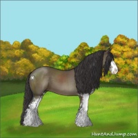 Horse Color:Smoky Grullo Sabino 