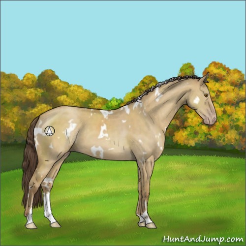 Horse Color:White Spotted Classic Cream Champagne Dun Sabino 