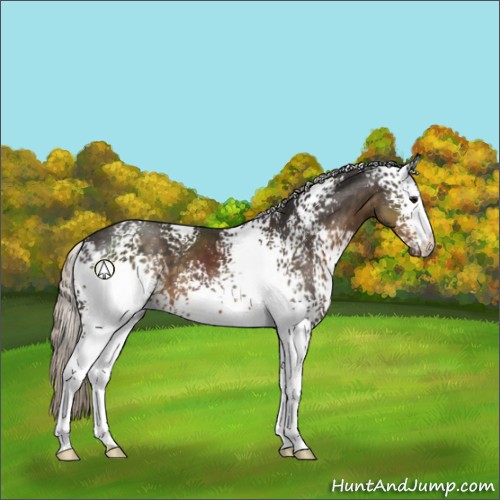 Horse Color:White Spotted Silver Smoky Black 