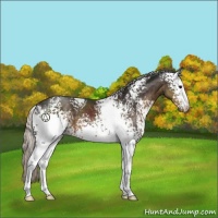 Horse Color:White Spotted Silver Smoky Black 