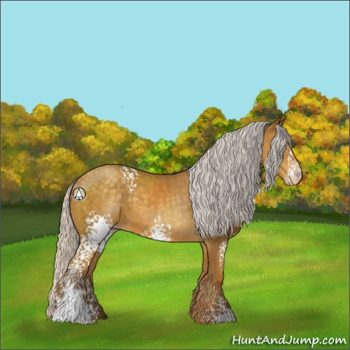 Horse Color:White Spotted Silver Classic Cream Champagne 