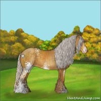 Horse Color:White Spotted Silver Classic Cream Champagne 
