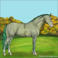 Horse Color:Watercolor Classic Champagne Ice Sabino 