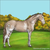 Horse Color:White Spotted Black Ice Pearl 
