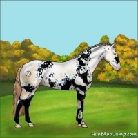 Horse Color:White Spotted Classic Champagne Ice Pearl 