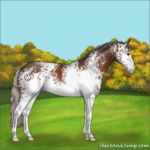 Horse Color:White Spotted Silver Brown 