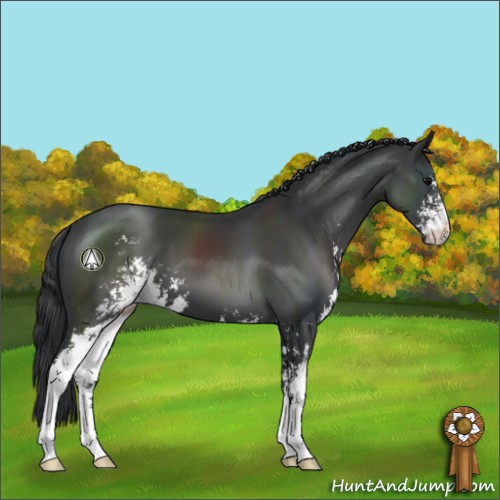 Horse Color:Black Sabino