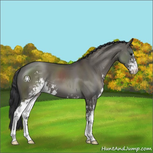 Horse Color:Grullo Sabino 