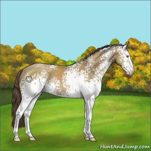 Horse Color:White Spotted Classic Cream Champagne 