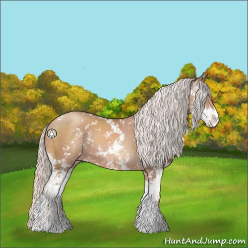 Horse Color:Silver Classic Champagne Sabino 