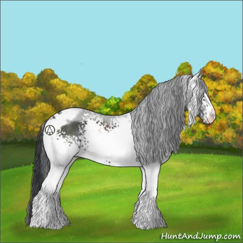 Horse Color:White Spotted Black Tobiano