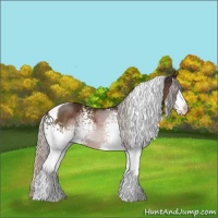 Horse Color:White Spotted Silver Brown Tobiano 