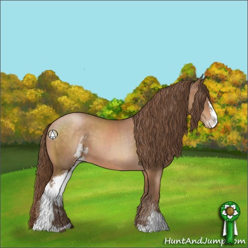 Horse Color:Brown Pearl Sabino