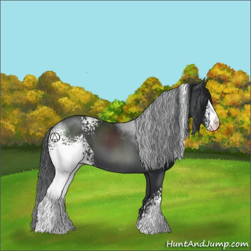 Horse Color:White Spotted Black 