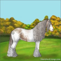 Horse Color:White Spotted Black Pearl Sabino 
