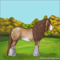 Horse Color:Brown Pearl Sabino 