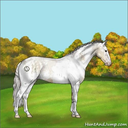 Horse Color:White Spotted Silver Smoky Grullo 