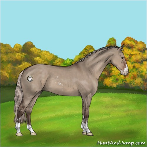 Horse Color:Silver Grullo Sabino 