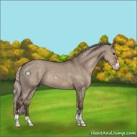 Horse Color:Silver Grullo Sabino